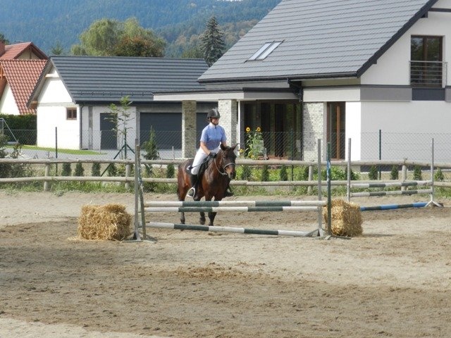 Babie Lato 2016